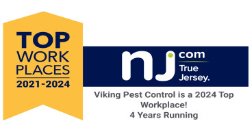 Viking Pest Control Voted Top Workplace for fourth consecutive year