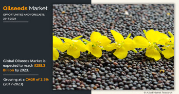 Oilseeds Market Report by Size, Growth Value, Industry Segmentation, Demand By Outlook, 2031