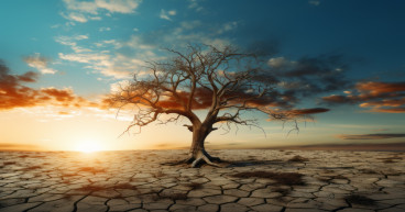 Dead crypto projects dominate the Cardano (ADA) ecosystem: report