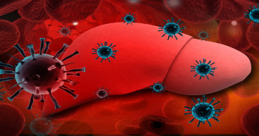 Projected Growth of 2.69% CAGR in the Viral Hepatitis Market from 2024 to 2034 | IMARC Group