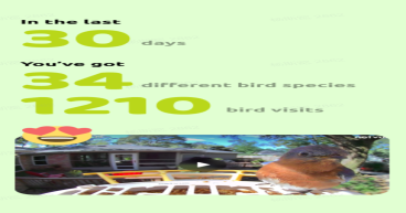 Birdfy Introduces