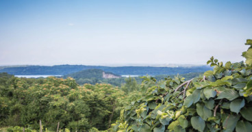 Hudson Valley Cabernet Franc Coalition Announces Signature Grape Wine Tasting Event