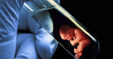 Europe's IVF Market Future Outlook 2024: Innovations, Challenges & Medical Tourism Trends