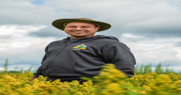 GoGo Quinoa Vous Offre Un Quinoa Cultivé Localement au Québec
