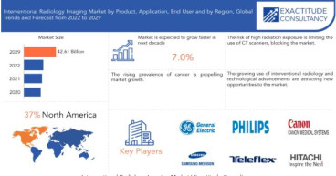 Interventional Radiology Imaging Market Size to reach USD 4261 billion by 2030| With a 7% CAGR by