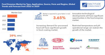Food Enzymes Market Key Drivers, Restraints, Future Trends, Opportunities, And Challenges Till 2030