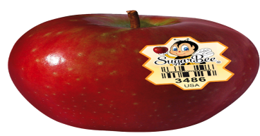 SugarBee® Apples Announce Year-Round Availability, Delighting Fans Worldwide