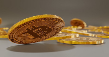 Bitcoin Dogs is thriving as the crypto bull run gains steam