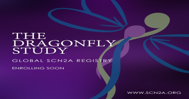 FamilieSCN2A Foundation Partners with NORD® to Initiate Registry for SCN2A-related disorders