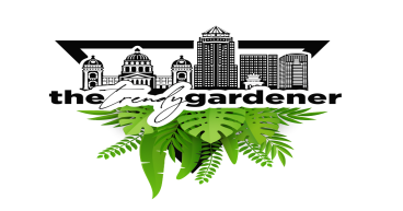 Trendy Gardener® Expands Online Inventory with Over 300 New Houseplants, Becoming Iowa's Largest Online Plant Shop