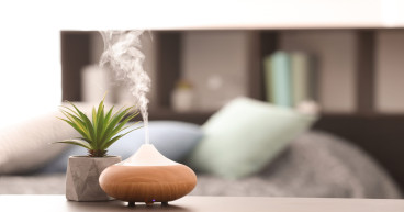 Aromatherapy Diffuser Market is expected to witness Incredible Growth during 2024-2031 | Saje Natural Wellness