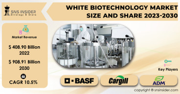White Biotechnology Market to Reach USD 908.91 Billion by 2030