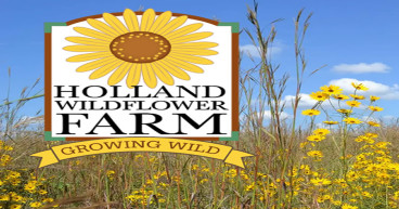 Holland Wildflower Farm Introduces Innovative Custom Bulk Wildflower Seed Mixes for Personalized Landscaping Solutions