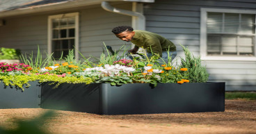 Vego Garden Marks Year of Exceptional Growth and Innovation with Dynamic Raised Garden Kits & Sustainable Solutions