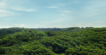 Invesmar: A Genuine Commitment to Promoting Well-Being Through Sustainable Practices