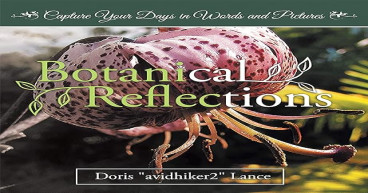 Botanical Reflections: A Journey of Healing and Inspiration Through Nature