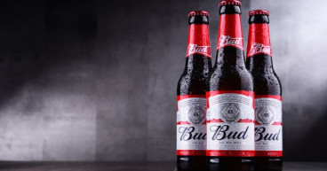  AB InBev stock price surges today on financial results release a underlying profits rise 