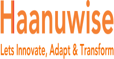 Haanuwise: Cultivating Sustainable Business Success Through Partnership