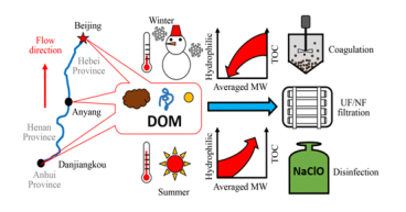  Impact unveiled: how China's massive water transfer shapes drinking water quality 