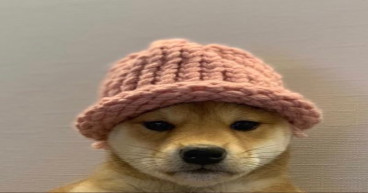 Can dogwifhat (WIF) price hit $5 as Bitbot presale nears end