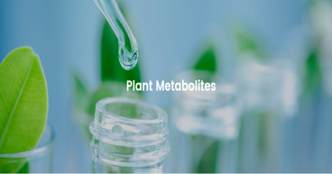 Alfa Chemistry Broadens Supply of Plant, Microbial, and Drug Metabolites for Various Industries