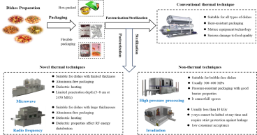 Harnessing Complementary Advantages for Optimal Microbial Control Techniques for Prepared Dishes
