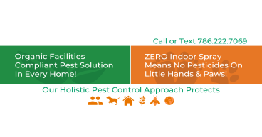 NaturePest Holistic Pest Control Now Serves the City of Sunrise, Florida