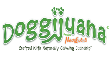 Doggijuana®, Makers of Naturally-Calming Juananip™ (Catnip for Dogs), Share 4th of July Tips to Keep Dogs Calm and Safe