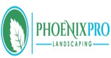 Phoenix Pro Landscaping Launches Innovative Water-Wise Landscaping Program in Gilbert AZ