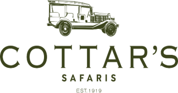 New Wild Movie Nights at Cottar's 1920s Camp - A Unique Cinematic Experience