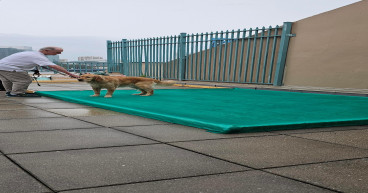 Scoop Masters Ensures Safe and Sanitary Relief Areas for Dogs at the American Council of the Blind National Convention