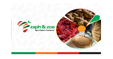 Delivering Excellence: Zaph & Zoe Agro-Export's Expertise in African Non-GMO Soybean Supply
