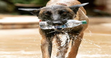Puptown Houston Provides Safe Haven for Over 50 Pets During Hurricane Beryl Power Outage