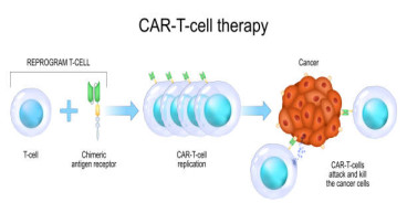 CAR T Cell Therapy Market Business Strategies, Current Insights, Regional Developments | Legend Biotech, Pfizer Inc.