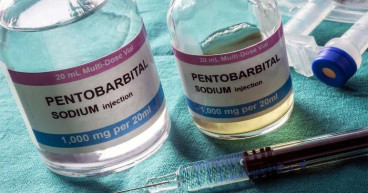 Phenobarbital Market Size, Share, Trends, Demand, Growth and Competitive Analysis | Sanofi, Pfizer Inc., Novartis AG,