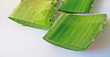 Aloe Vera Juice Market Set to Reach $24.1 Billion by 2032: Allied Market Research Study