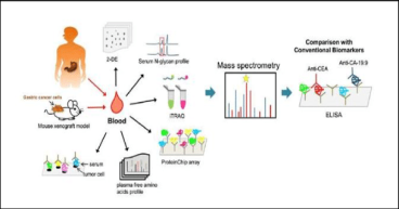 Blood Based Biomarkers Market Projected To Witness Substantial Growth, 2024-2031:SysmOex Corporation, Minomic,Diadem srl