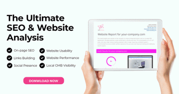 napkin marketing Launches Comprehensive SEO Audit and Website Usability Analysis Tool