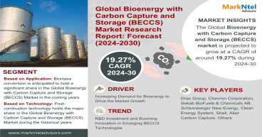 Bioenergy with Carbon Capture and Storage Market Forecasted to Grow at a CAGR of Around 19.27% During 2024-30