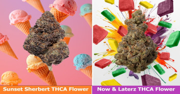 Exciting New THCA Flower Launched by Black Tie CBD: Now & Laterz and Rainbow Runtz