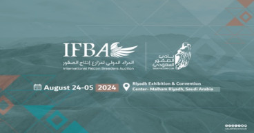 World-Class Falcon Auction Tomorrow in Riyadh: Top Breeds from Across the Globe