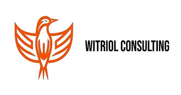 Witriol Consulting LLC: Revolutionizing the Consulting Industry with Expertise, Innovation, and Client-Centric Solutions