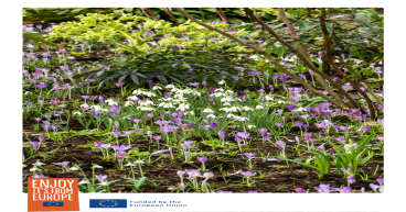 Flowerbulb.eu Offers Ways to Revamp Lawns' Reputations with Spring Flowering Bulbs for Wildlife