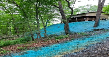Transforming Landscapes: The Benefits of Hydroseeding for Lush, Healthy Lawns