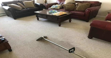 Local Rug Cleaning Company Offers Sustainable and Eco-Friendly Services