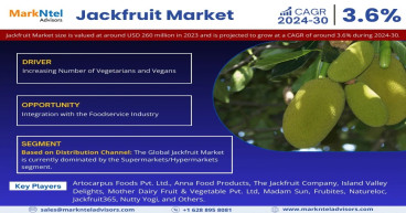 Jackfruit Market Growth Continues: Hits USD 290 Million Value in 2023, Expected CAGR of 3.6% by 2030