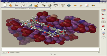 Molecular Dynamics Software Market Become Attractive Amid High Competition: Amber, Gromacs, Charmm
