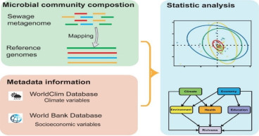Sewage secrets: economic factors shaping our microbiome exposed