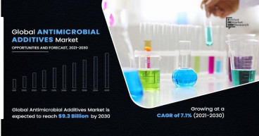  [2024] Antimicrobial Additives Market Size, Trends and Industry Growth Forecast, 2030 
