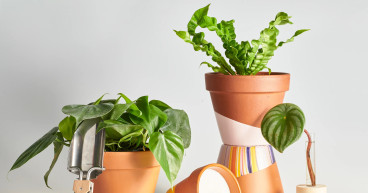 Plant Insurance Market Rapidly Gaining Traction in Key Business Segments: Allianz, Chubb Limited, AXA